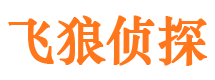 麻山外遇出轨调查取证